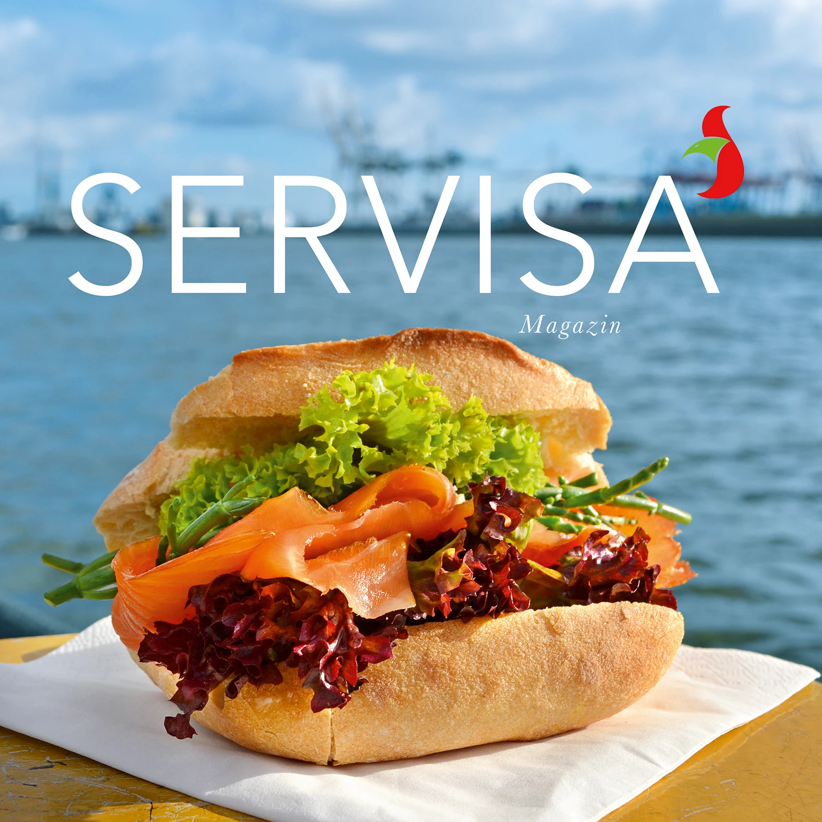 Servisa Banner Servisa Banner