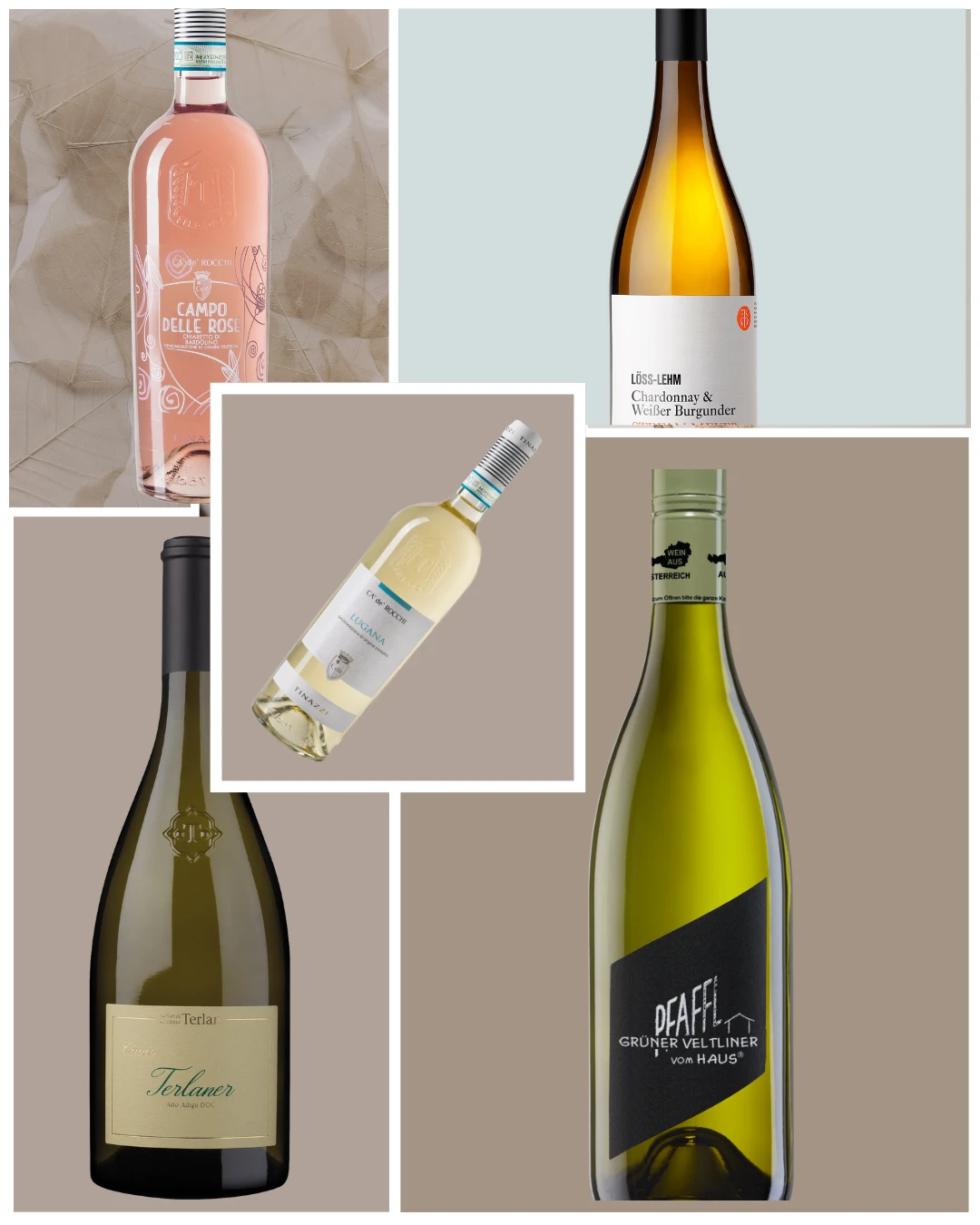 Entdecken Sie die Weinvielfalt von Bierbichler Entdecken Sie die Weinvielfalt von Bierbichler