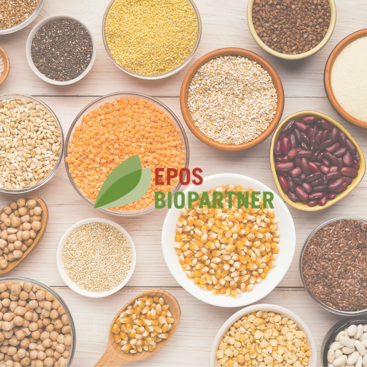 Hülsenfrüchte & Getreidevielfalt in BIO-Qualität möglich durch Bio Partner EPOS Hülsenfrüchte & Getreidevielfalt in BIO-Qualität möglich durch Bio Partner EPOS