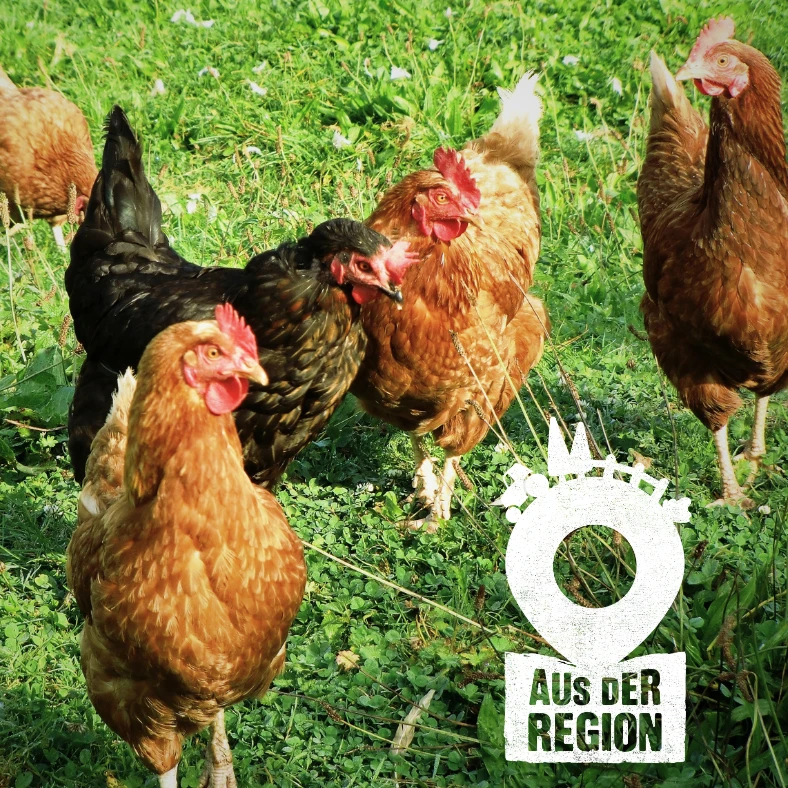 Eine Gruppe von Hühnern auf einem Feld