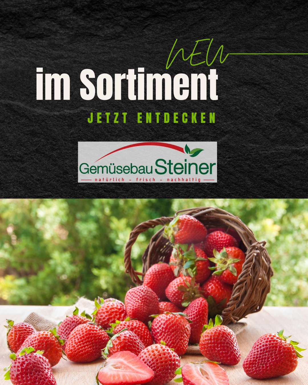 Ultrafrisches Obst und Gemüse vom Gemüsbau Steiner - jetzt bestellen Ultrafrisches Obst und Gemüse vom Gemüsbau Steiner - jetzt bestellen