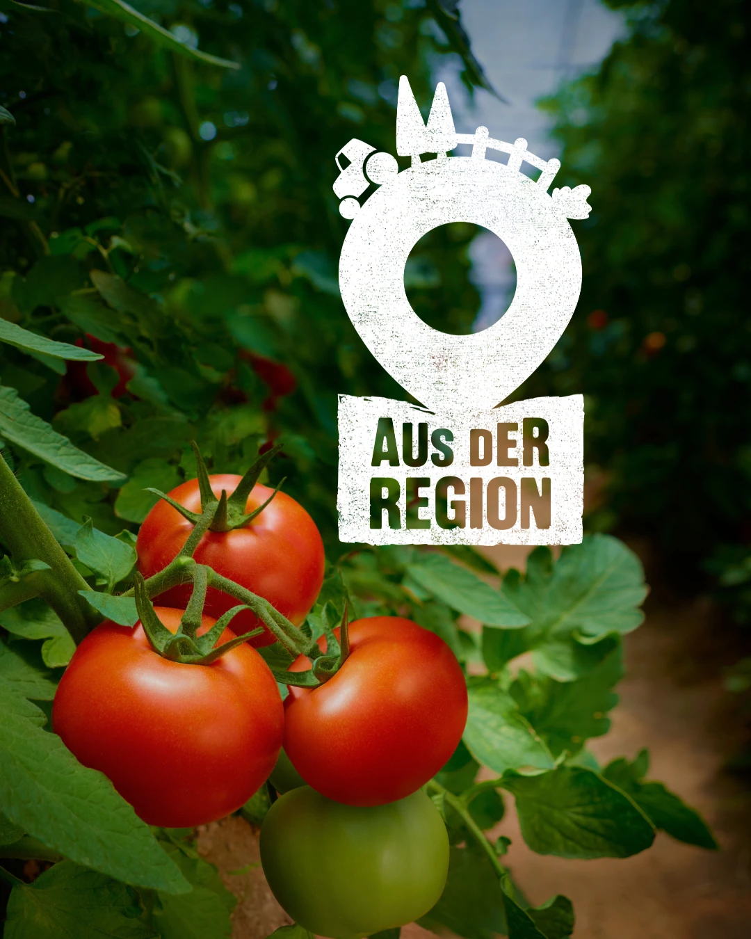 Aus der Region Aus der Region - Nachhaltig und gut im Geschmack