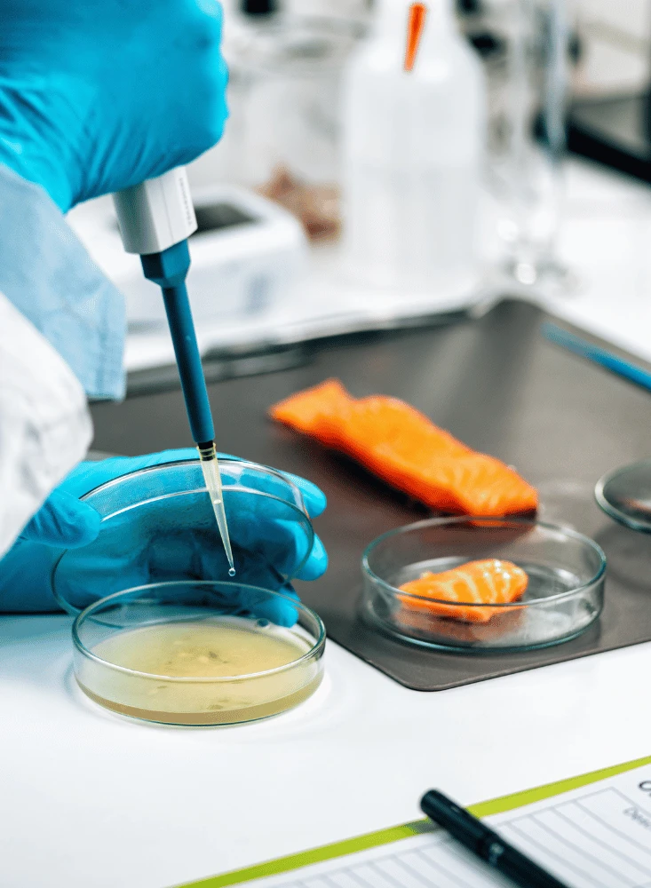 Qualitätsmanagement ist das A und O. Schauen Sie sich unsere Zertifizierungen an. Eine Person hält eine Pipette über eine Petrischale.