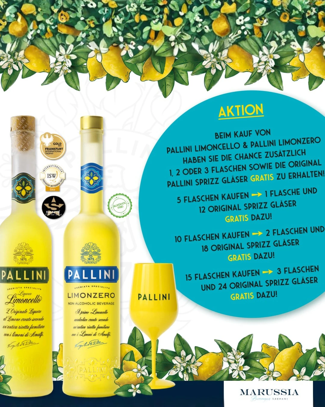 Entdecken Sie die Weinvielfalt von Bierbichler